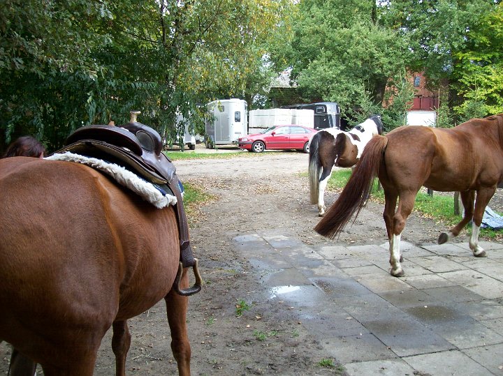 Rundgang in der Pferdepension
